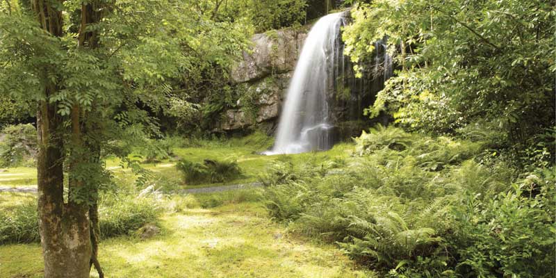 Kilfane Glen & Waterfall : © kilfane.com